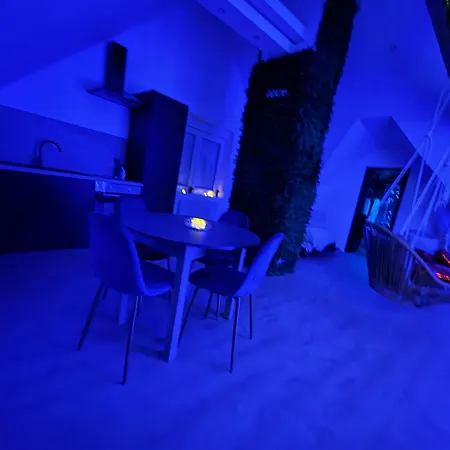 Appartement Proche Wimille